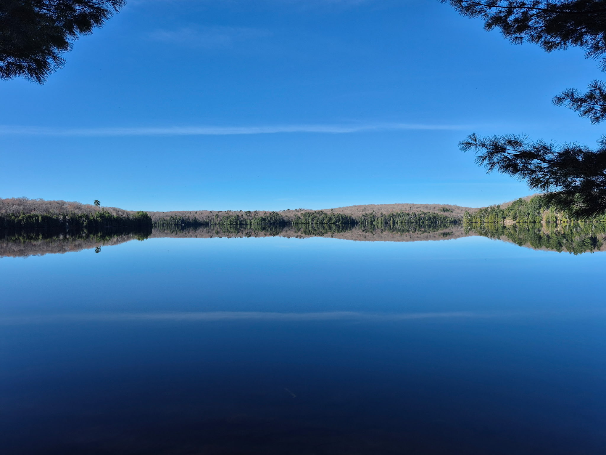 Muskoka Lake Reflection