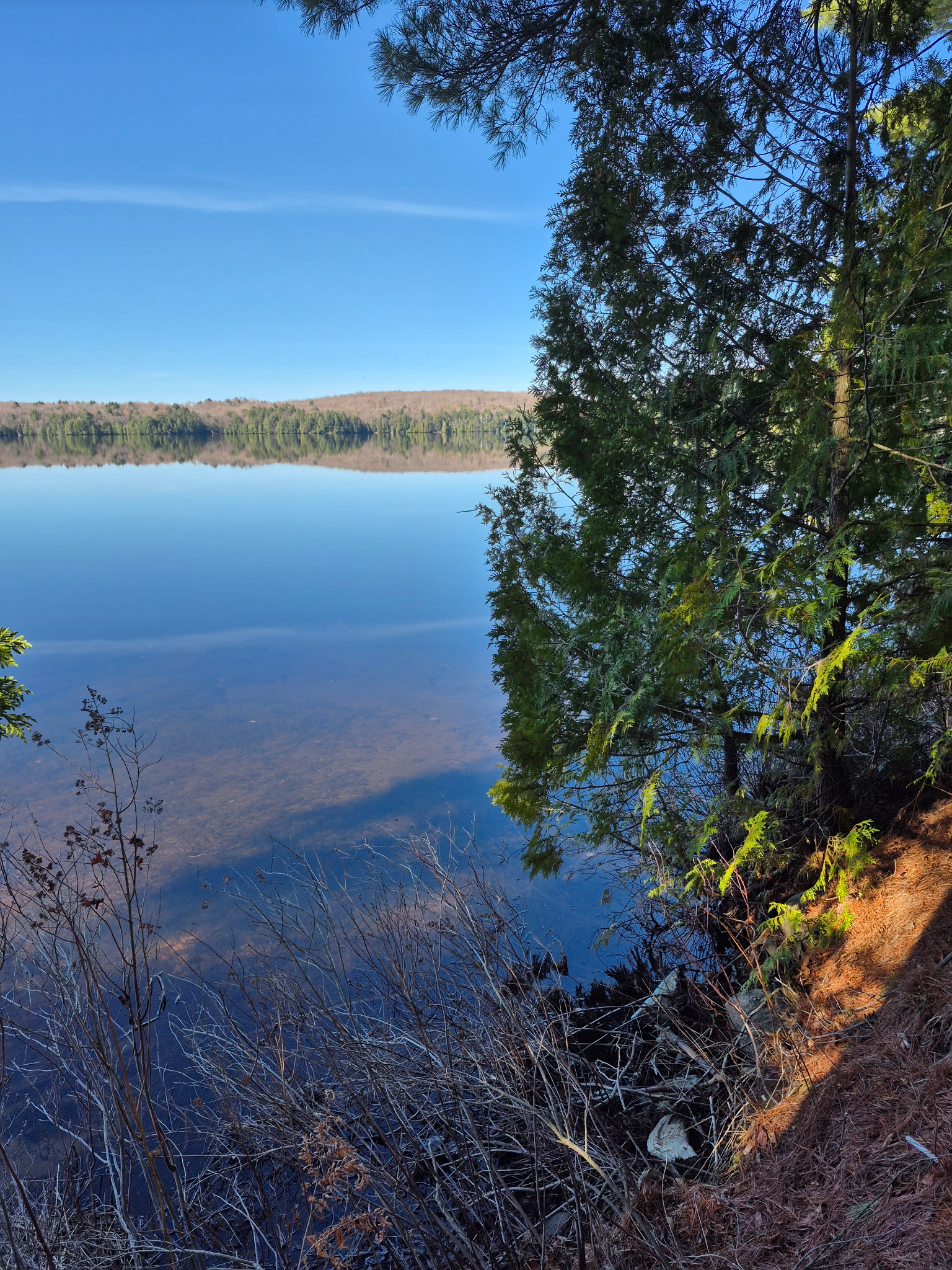 Axe Lake Estates