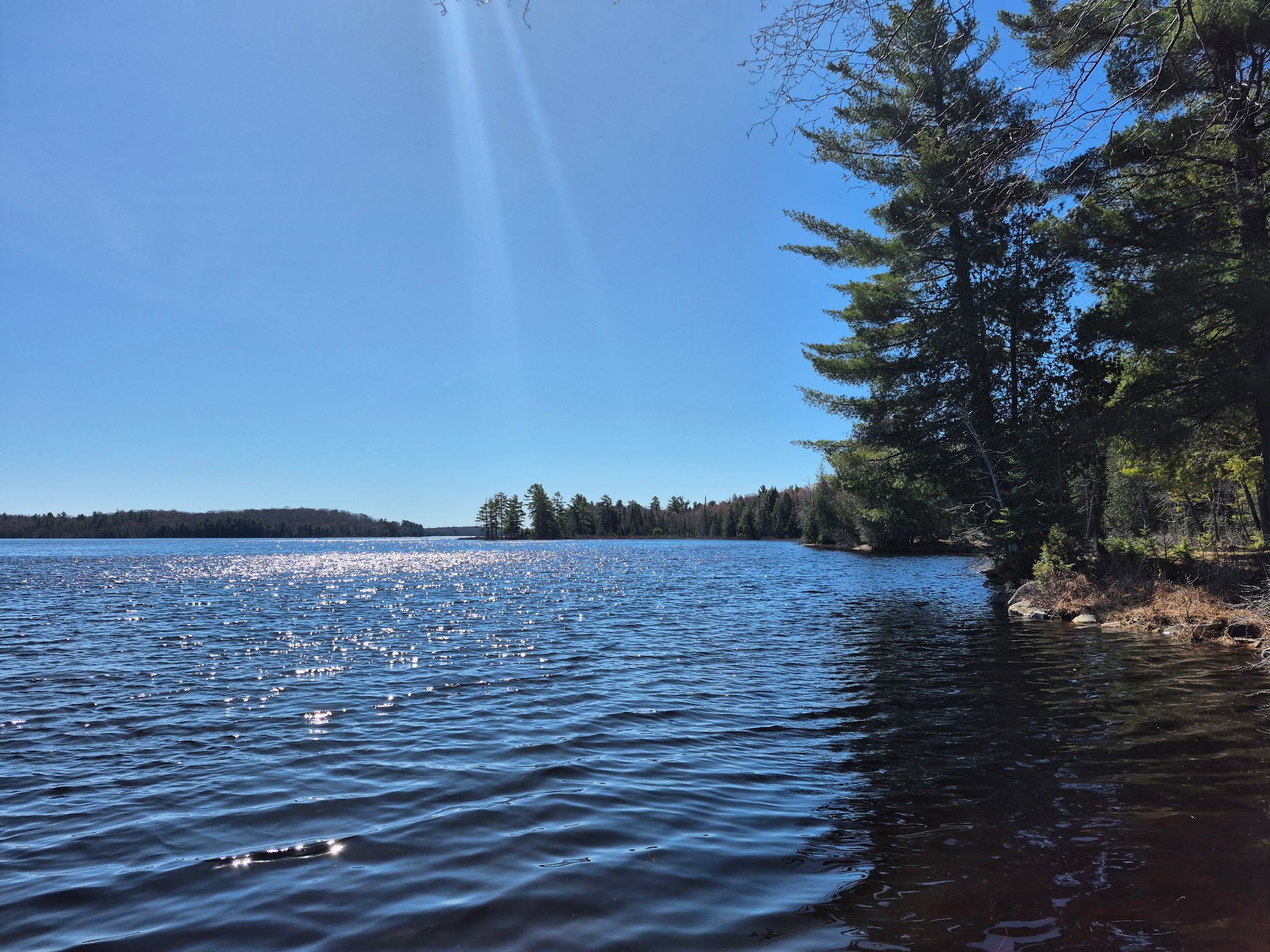 Muskoka Waterfront